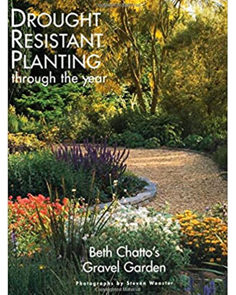 Drought Resistant Planting through the Year by BethChattooo
