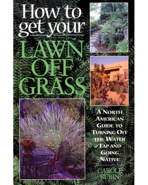How to Get Your Lawn off Grass