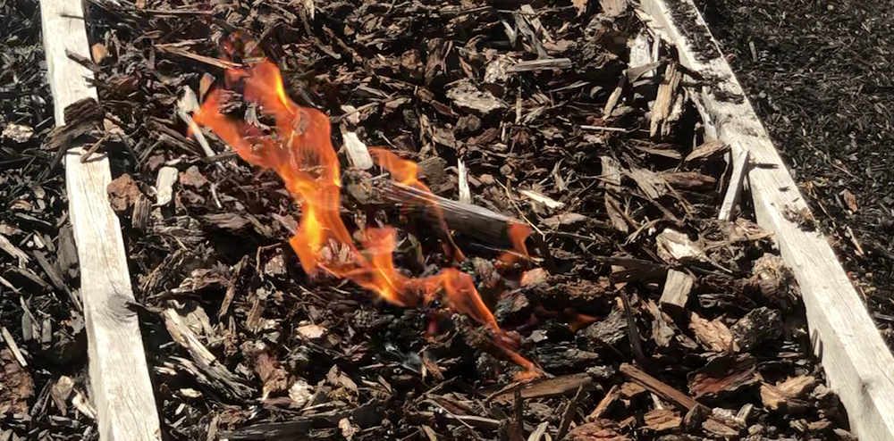 Flames in fir mulch spread with wind