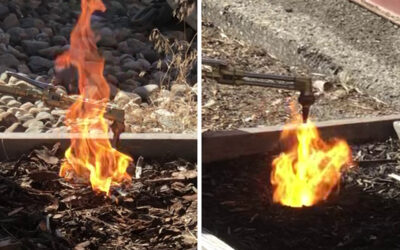 Mulch Flammability