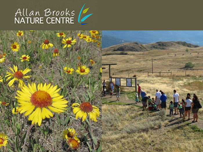 Link to the Allan Brooks Nature Centre in Vernon