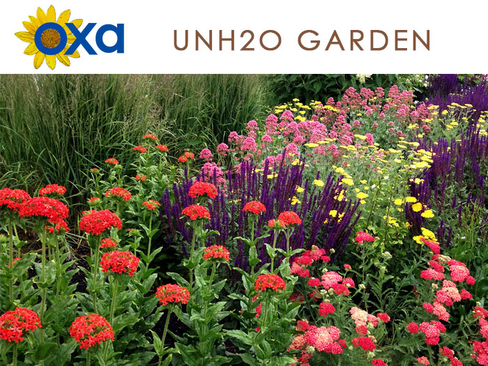 Link to the UnH2O Demonstration Gardens in Kelowna