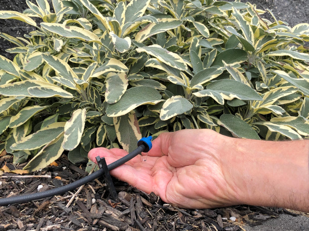 Drip irrigation