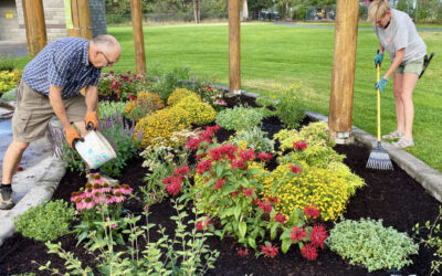 Hot Weather Gardening