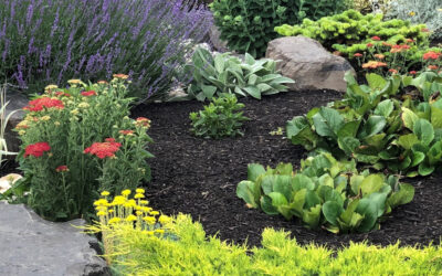 Mulches for Okanagan Xeriscaping