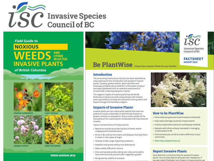 Link to the Invasive Species Council of BC website of interest for naturalization projects in BC