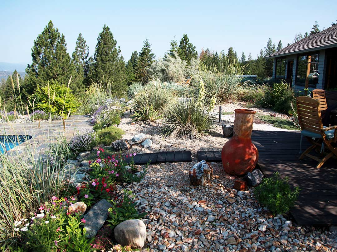 The Youngberg Garden after xeriscape project